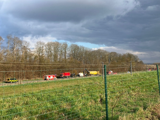 whatsapp_image_2025-02-28_at_15