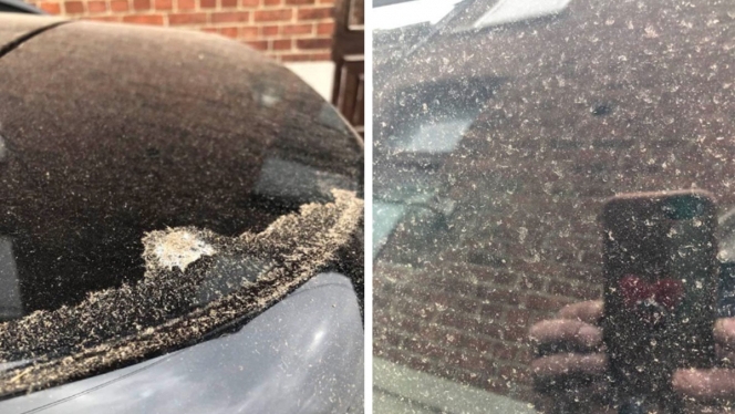 L'état d'une voiture