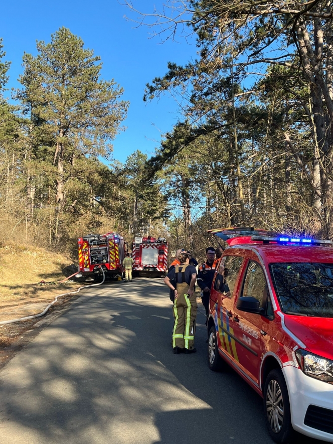 a5015777-737f-4a9c-a991-6adc9b7aaf61