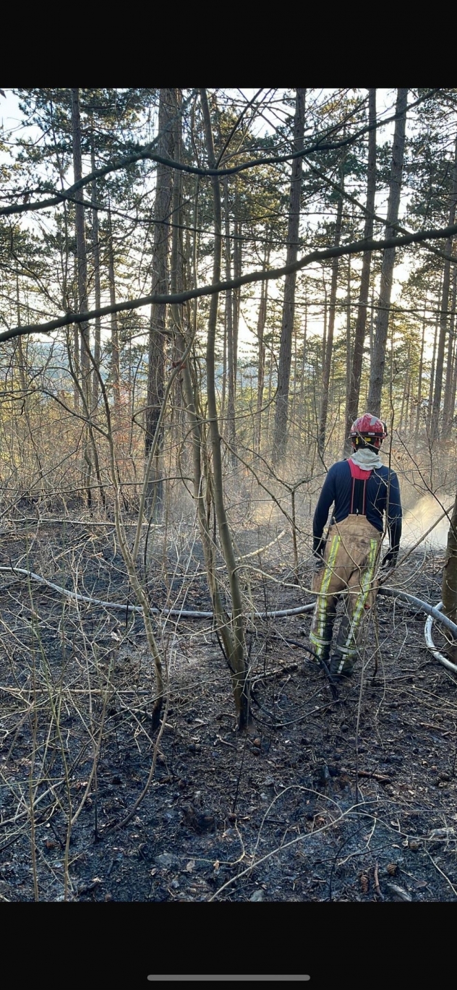 2e820e3c-8e9e-45bc-9f63-bd2d1e2eb28a