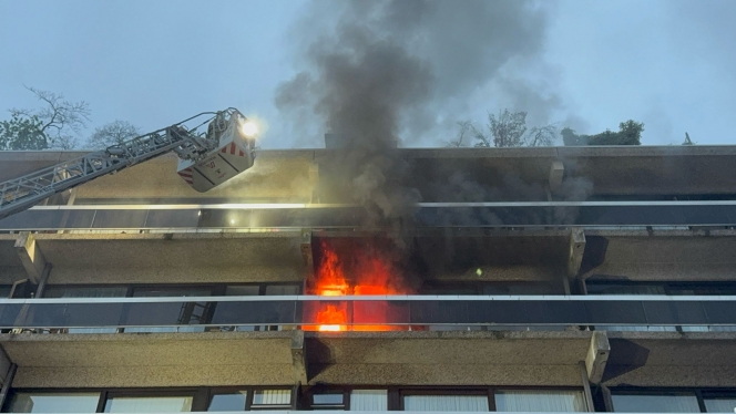 whatsapp_image_2025-03-28_at_19