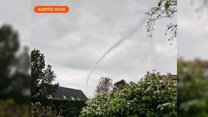 tourbillon-alertez-nous-2