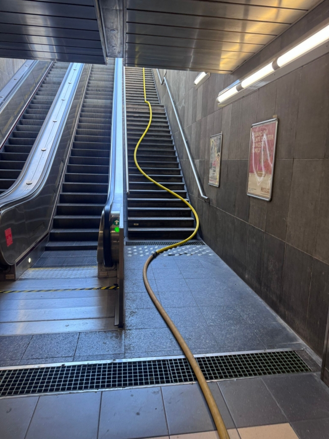 whatsapp_image_2025-05-10_at_13