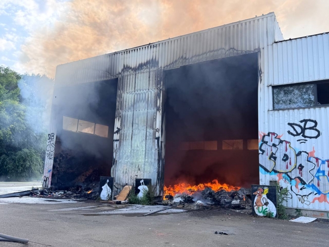 WhatsApp Image 2025-06-13 at 16.40.31.jpeg