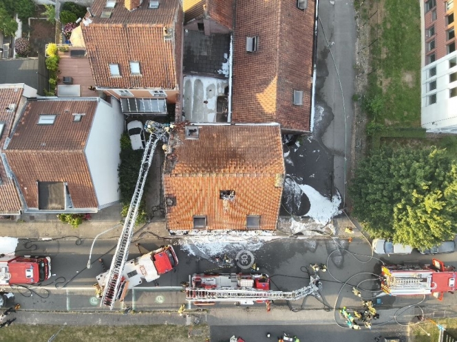 WhatsApp Image 2025-06-23 at 08.15.55.jpeg