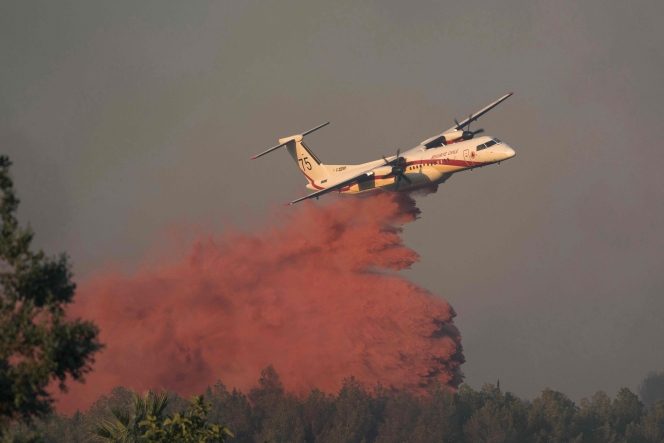 AFP_648P84D