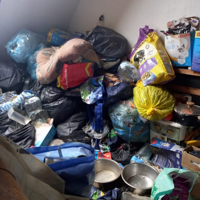 0_WhatsApp%20Image%202025-06-28%20at%2009.08.56%20(4).jpeg "it question public health": cleaning "it question public health": cleaning new