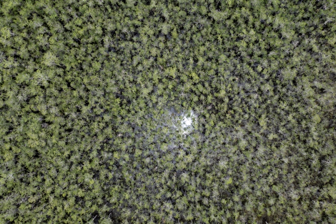 2025-06-28T210852Z_2058420647_RC2PBFA7QKUT_RTRMADP_3_USA-TRUMP-MIGRATION-FLORIDA-PROTEST