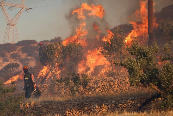 Des pompiers luttent contre un incendie de forêt qui s’est déclaré à Ierapetra, sur l’île grecque de Crète.