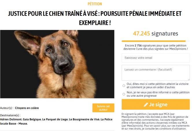 chien_petition.jpg