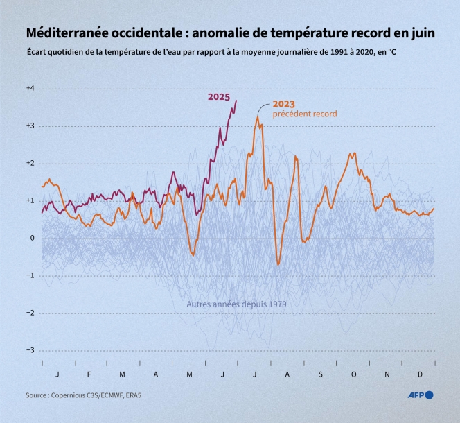 AFP_666X9WH-1.retina