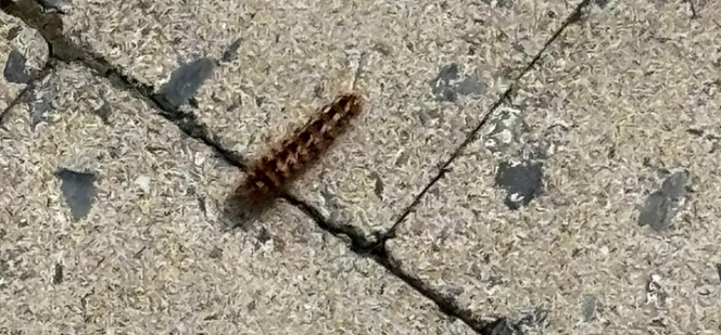 Photo envoyée par Olivia via Alertez-Nous