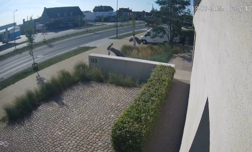 Source : Instagram@rrinterieur