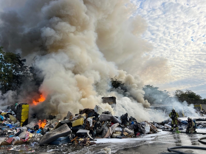 WhatsApp Image 2025-08-07 at 07.59.31.jpeg