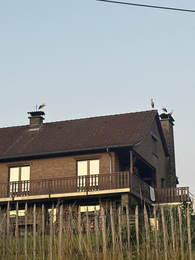 WhatsApp Image 2025-08-10 at 21.26.09.jpeg