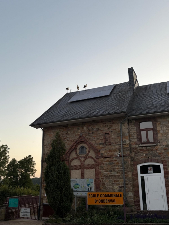 WhatsApp Image 2025-08-10 at 21.26.03.jpeg