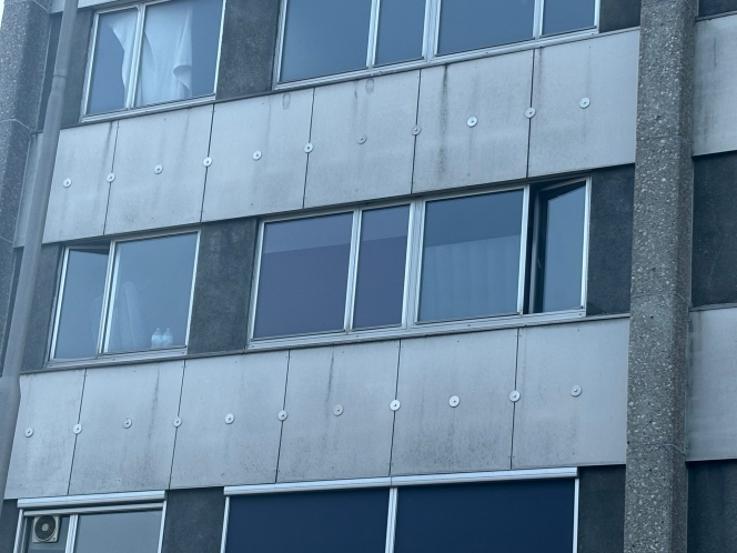 WhatsApp Image 2025-08-14 at 10.47.06.jpeg