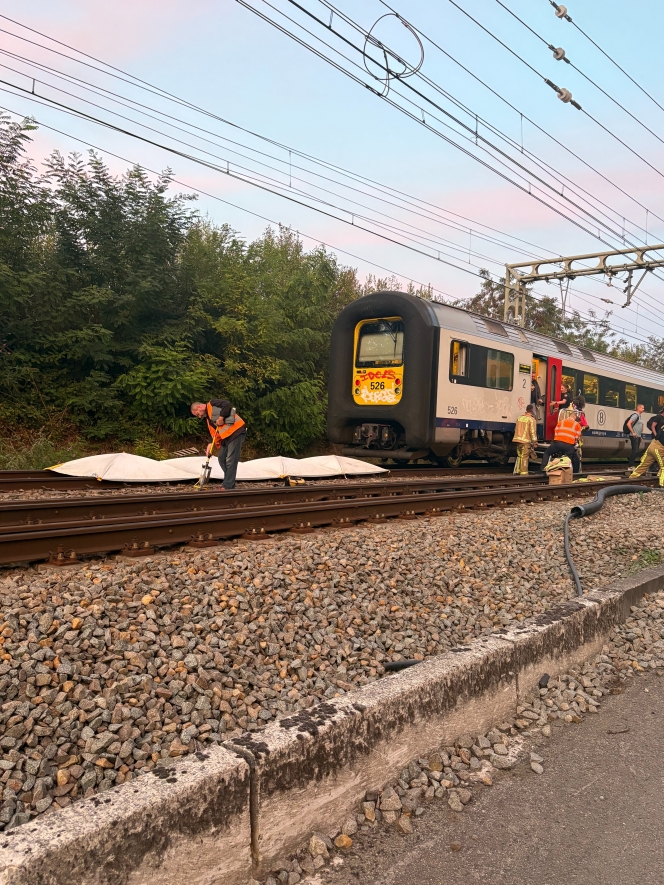 9eca7275-6885-5e0b-d0fa-a88af3b46197-IMG_7284 (1).jpeg