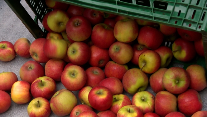 RTL INFO 19h Clean.19_26_37_01.Still010.jpg