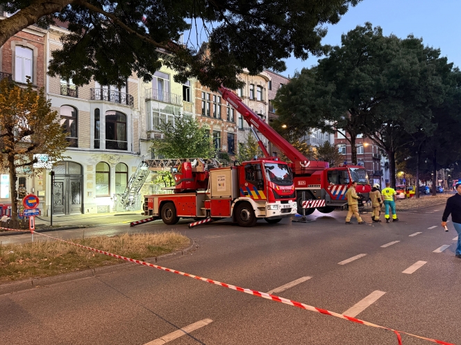 WhatsApp Image 2025-08-23 at 21.31.33 (1).jpeg