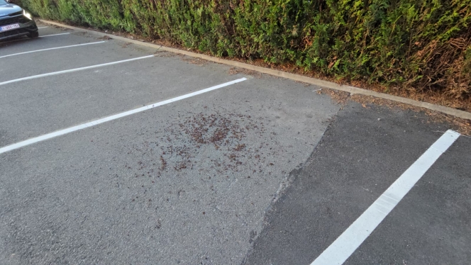 WhatsApp Image 2025-08-25 at 08.27.54 (2).jpeg