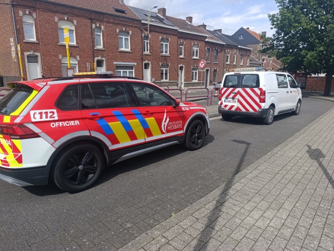 Tout le site a été passé au détecteur.