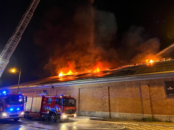 WhatsApp Image 2025-08-28 at 00.01.00.jpeg