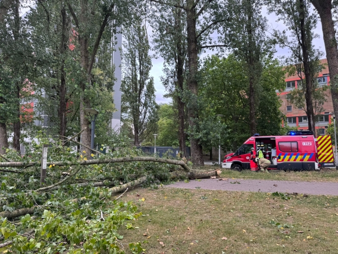 WhatsApp Image 2025-09-03 at 18.07.36.jpeg