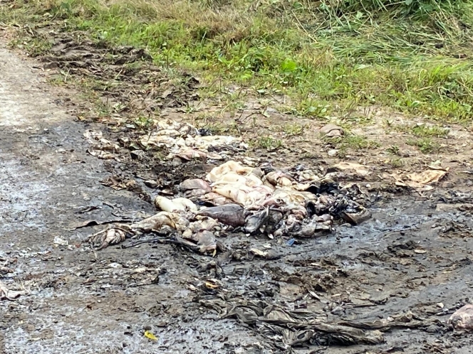 WhatsApp Image 2025-09-02 at 14.18.03 (2).jpeg