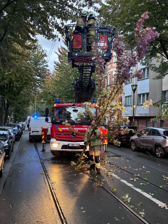 WhatsApp Image 2025-09-03 at 21.48.55.jpeg