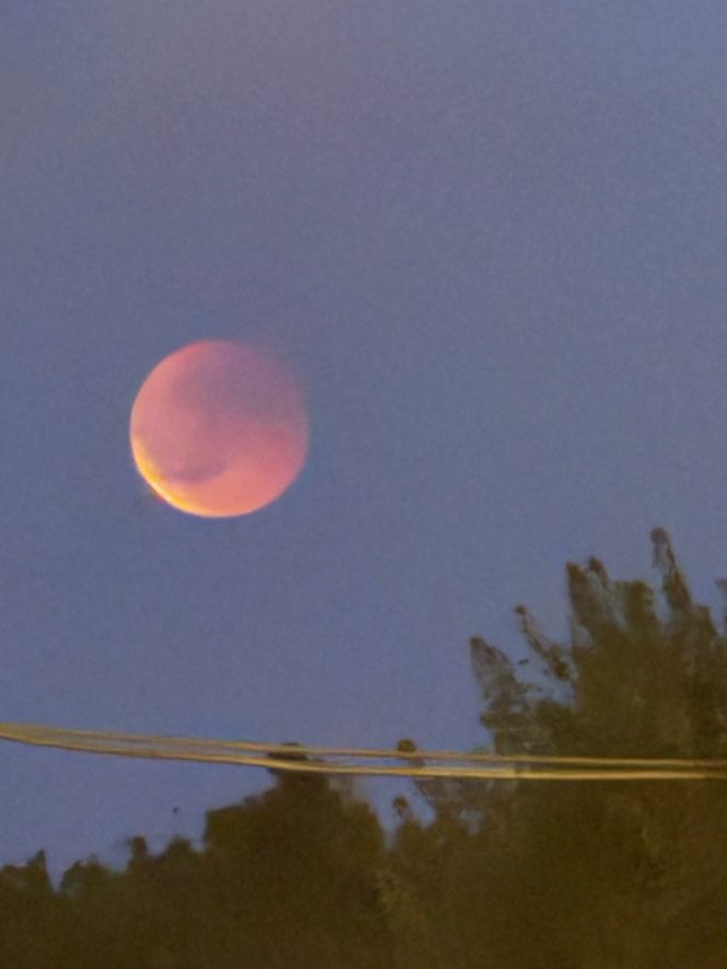 Photo lune de sang.jpeg