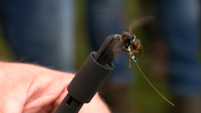 RTL INFO 19h Clean.19_26_35_05.Still005.jpg