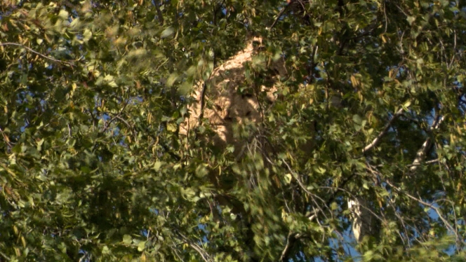 RTL INFO 19h Clean.19_28_08_18.Still004.jpg