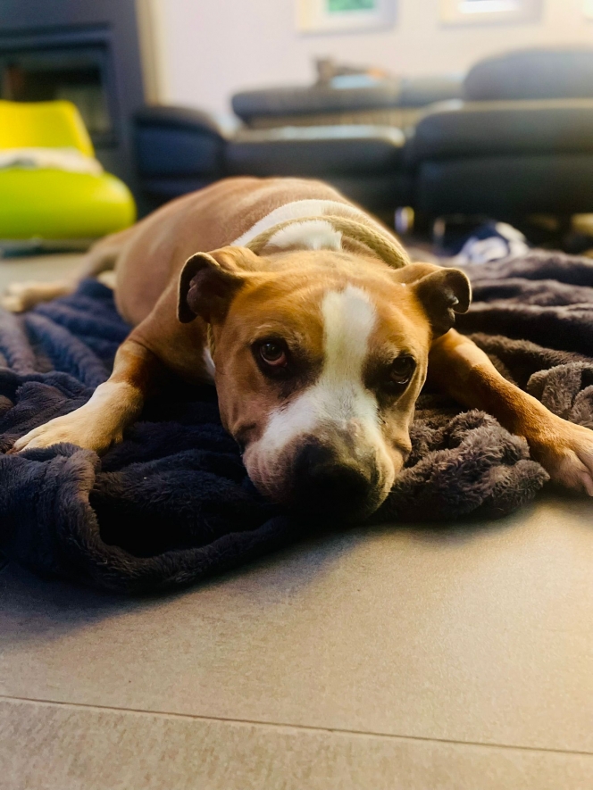 WhatsApp Image 2025-09-22 at 12.59.03.jpeg