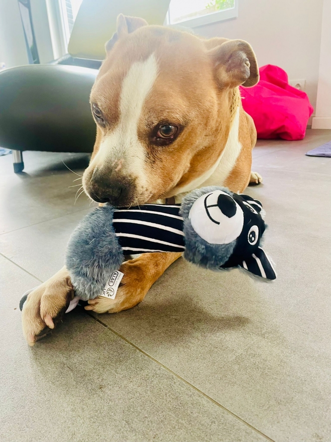 WhatsApp Image 2025-09-22 at 12.59.03 (1).jpeg