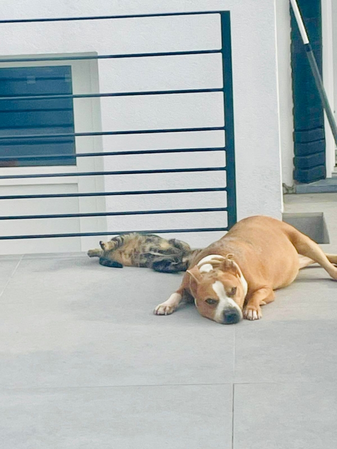 WhatsApp Image 2025-09-22 at 12.59.00 (1).jpeg