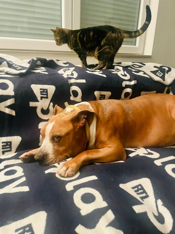 WhatsApp Image 2025-09-22 at 12.59.00.jpeg