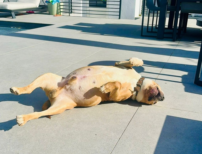 WhatsApp Image 2025-09-22 at 12.59.02.jpeg