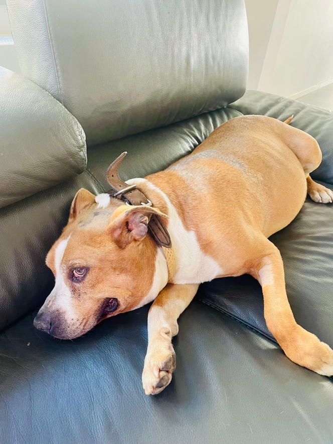 WhatsApp Image 2025-09-22 at 12.59.02 (1).jpeg