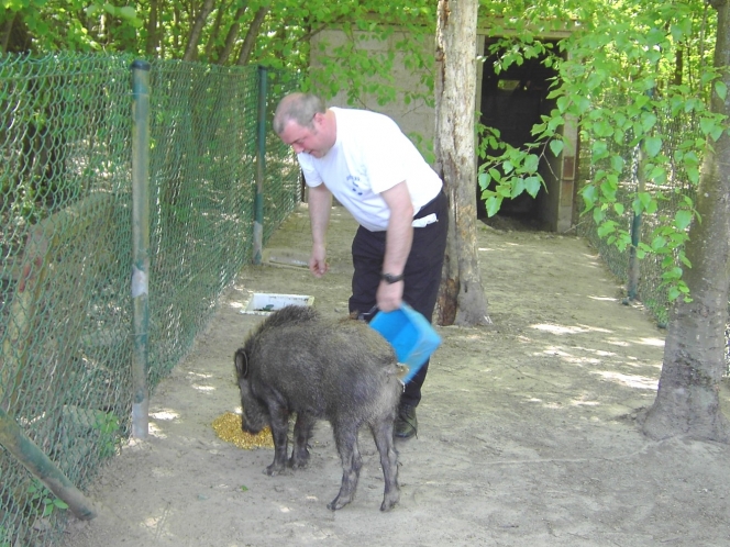 Gipsy - Facebook Christian Deville.jpg