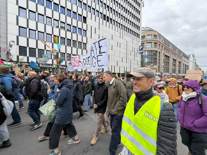 WhatsApp Image 2025-10-05 at 13.49.37.jpeg