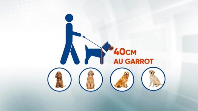 RTL INFO 13h Clean.13_02_02_15.Still001.jpg