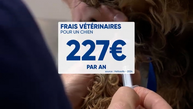 WEB SQ 1.00_00_19_07.Still004.jpg