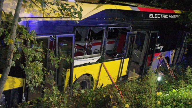 WhatsApp Image 2025-10-22 at 07.09.11.jpeg