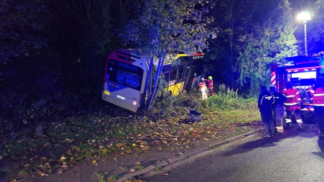 WhatsApp Image 2025-10-22 at 07.09.12.jpeg