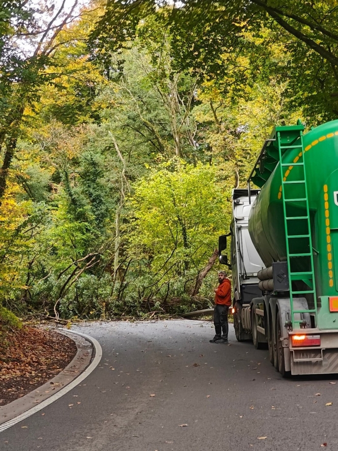 WhatsApp Image 2025-10-23 at 13.44.14.jpeg