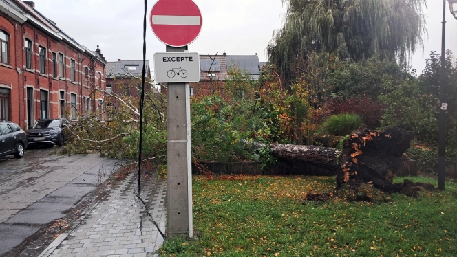 Alertez-nous - Kilian Daminet - Ecaussinnes d'Enghien.jpg