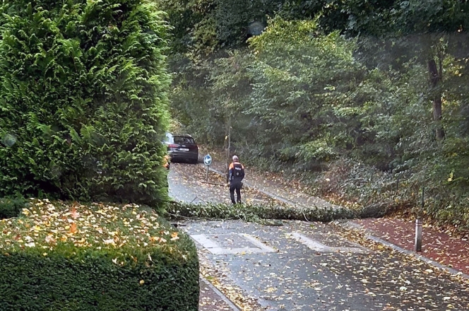 Alertez-nous - Henri Vermeulen - La Hulpe.jpg