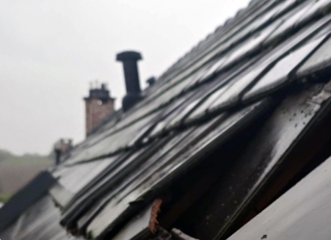 Alertez-nous - Julien - Chatelet.jpg