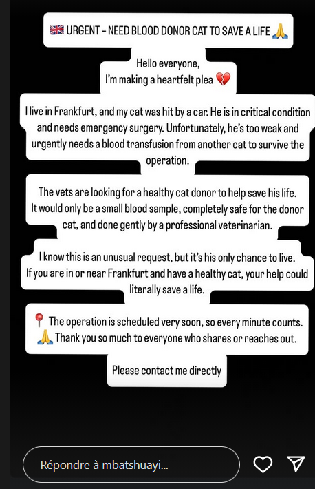 L’appel au don de sang a été partagé dans la story Instagram du Diable rouge.
